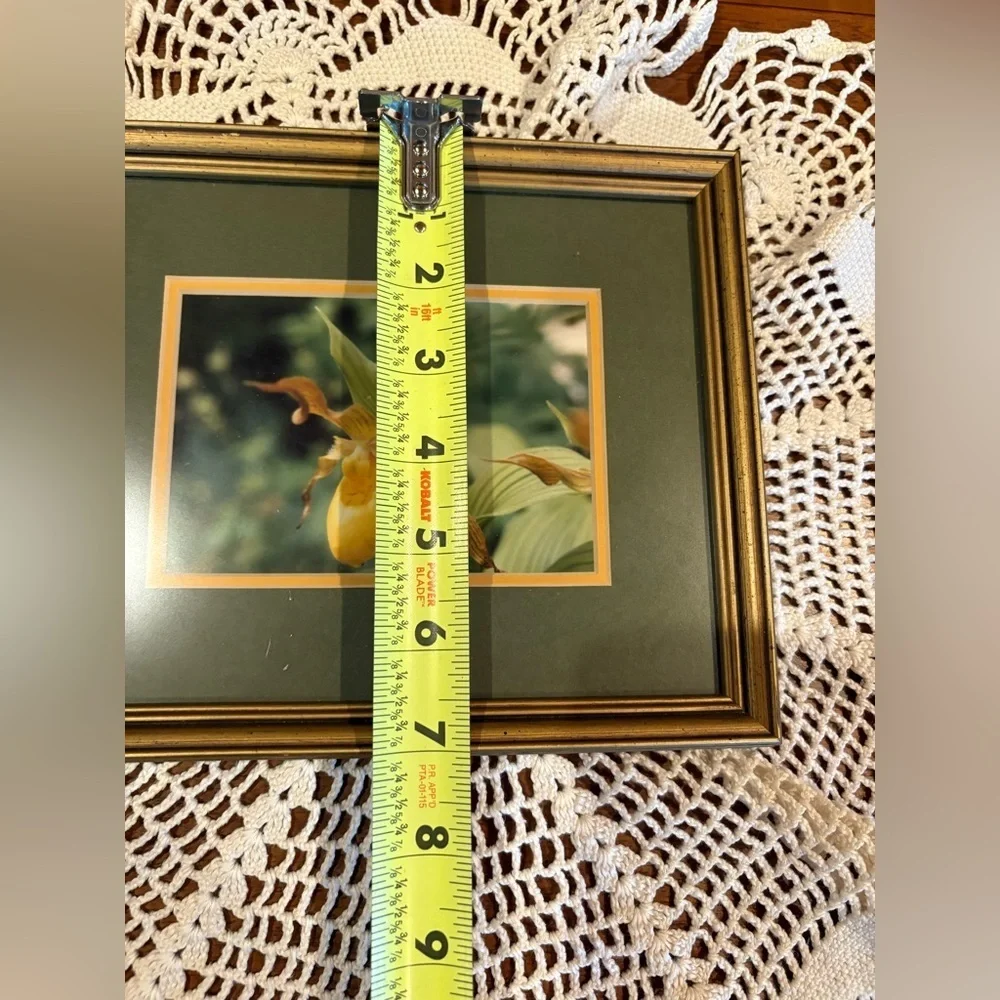 Pine Grown Framing unknown photographer yellow lady